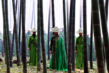  Bamboo Forest 