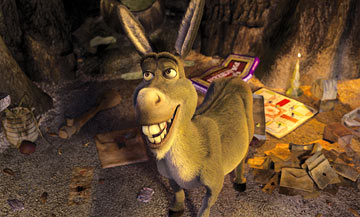 Donkey